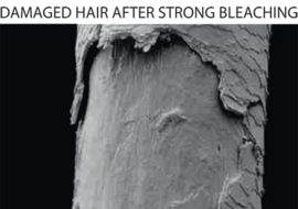 damaged-hair