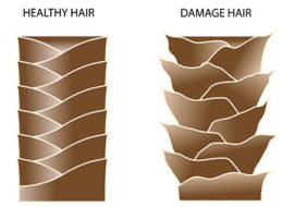 healthy-v-damaged-hair